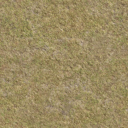 Grass0132 - Free Background Texture - aerial grass dry dead green brown ...