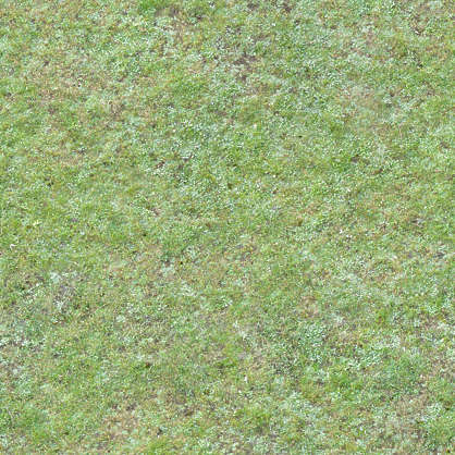 Grass0151 - Free Background Texture - grass short green seamless ...