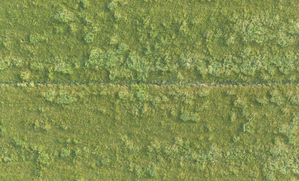 Grass0198 - Free Background Texture - aerial field grass ground terrain
