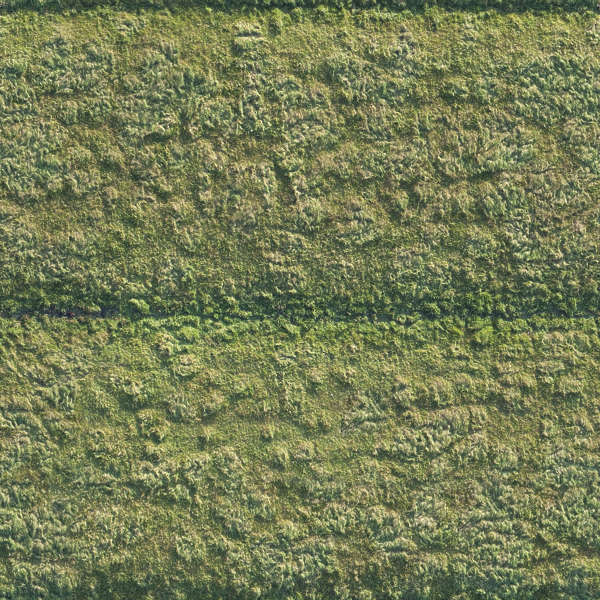 Grass0195 - Free Background Texture - aerial field grass ground terrain