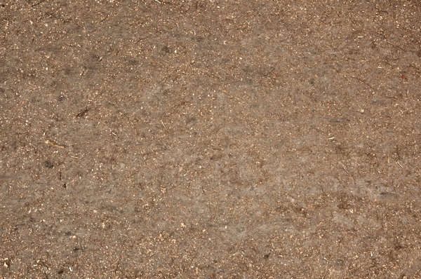 LeavesDead0053 - Free Background Texture - Forest Floor Sand.