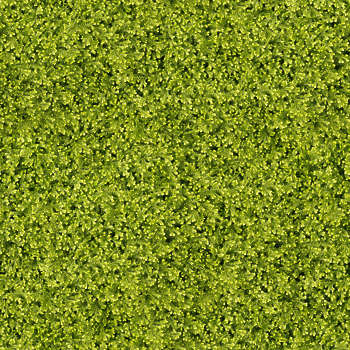 Moss Mossy Texture Background Images Pictures