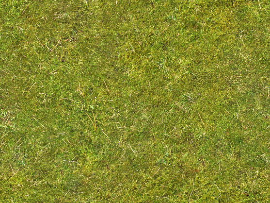 texture tiles ground Background ground  Moss0107 green  Texture Free moss