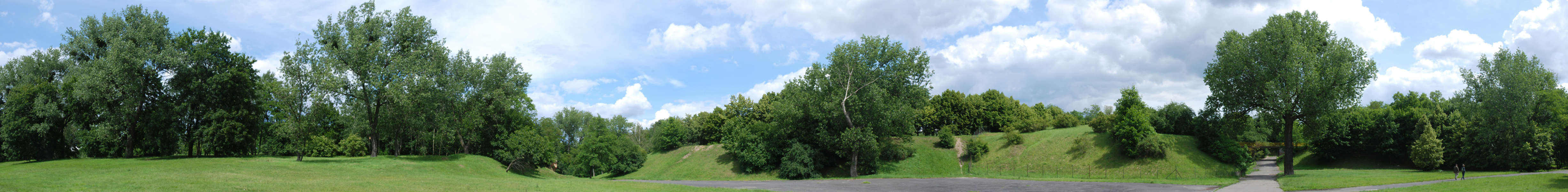 Trees0012 - Free Background Texture - tree trees treeline green