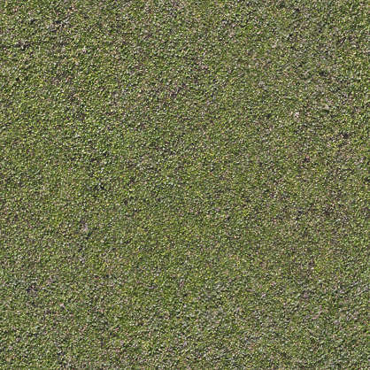 Waterplants0047 - Free Background Texture - aerial ground terrain ...