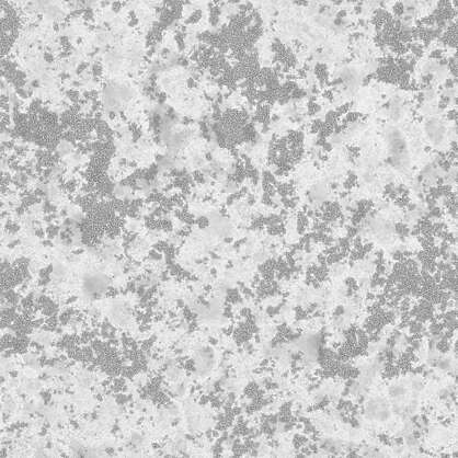 Mossy Boulser Surface - PBR0592