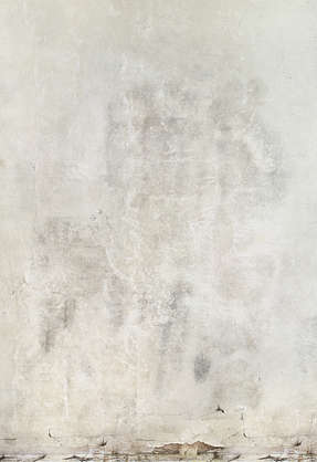 PlasterCeiling0026 - Free Background Texture - plaster ...