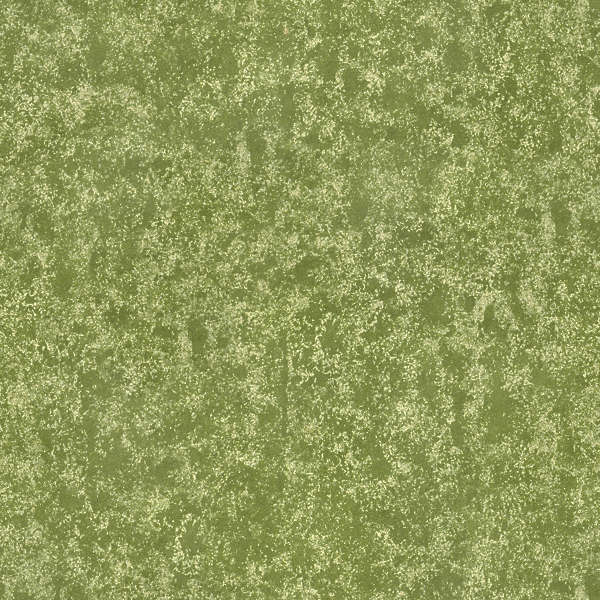 PlasterColoured0080 - Free Background Texture - plaster paint green