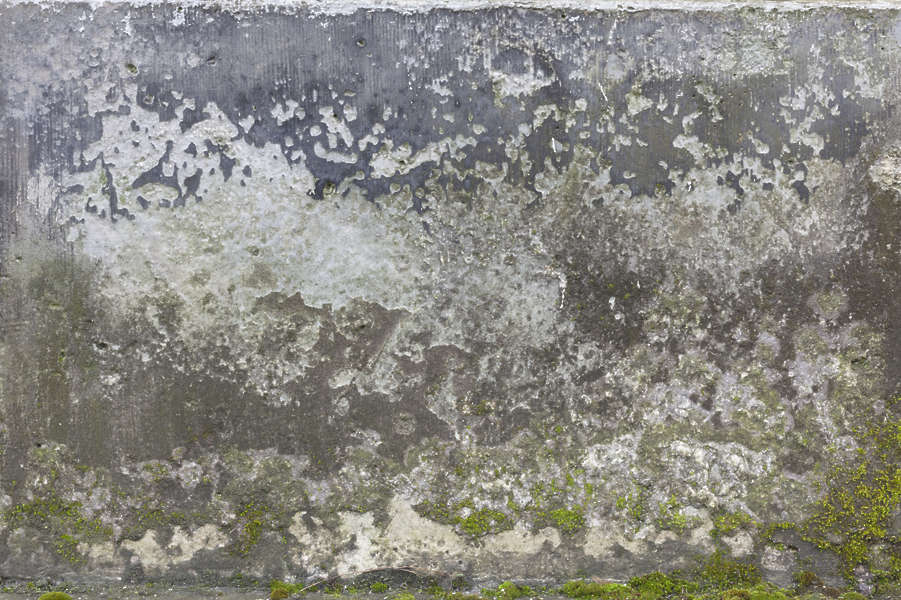 PlasterDirty0109 - Free Background Texture - moss mossy gradient stone ...