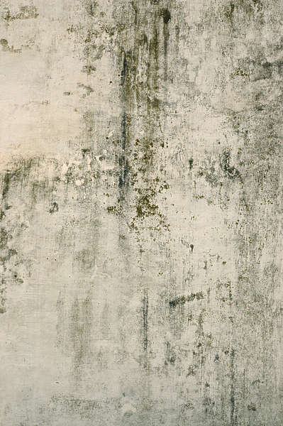 PlasterWhiteDirty0017 - Free Background Texture - plaster dirty white