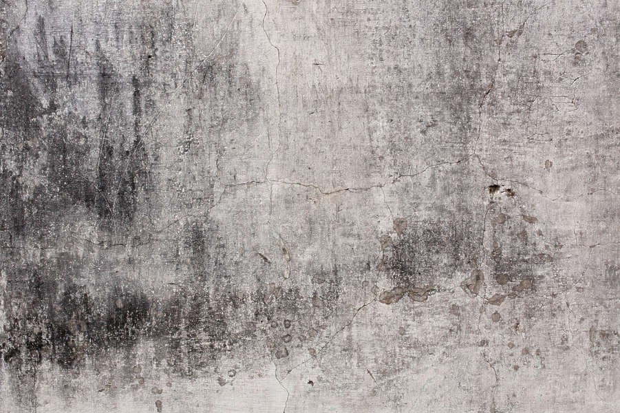 PlasterWhiteDirty0112 - Free Background Texture - plaster dirty bare ...