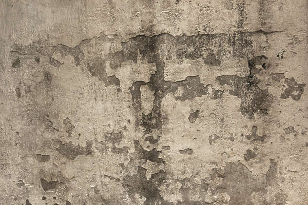 PlasterWhiteDirty0149 - Free Background Texture - plaster dirty grunge ...