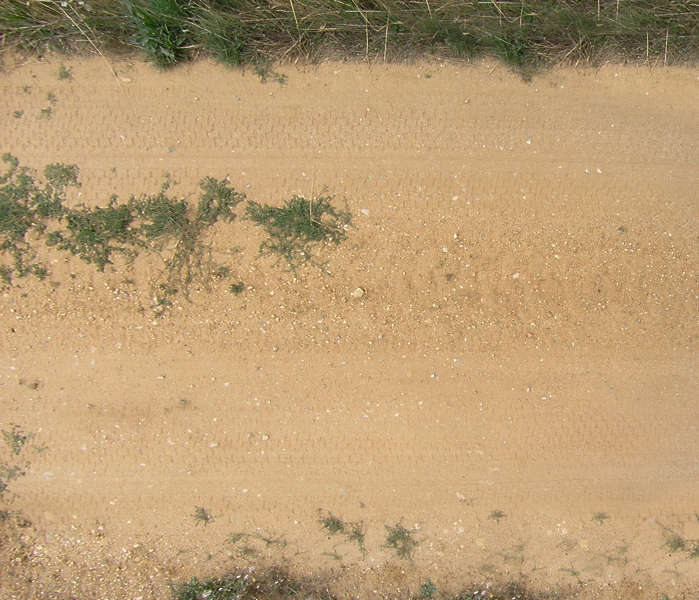 RoadsDirt0034 - Free Background Texture - Road Path Track Sand Dirt ...