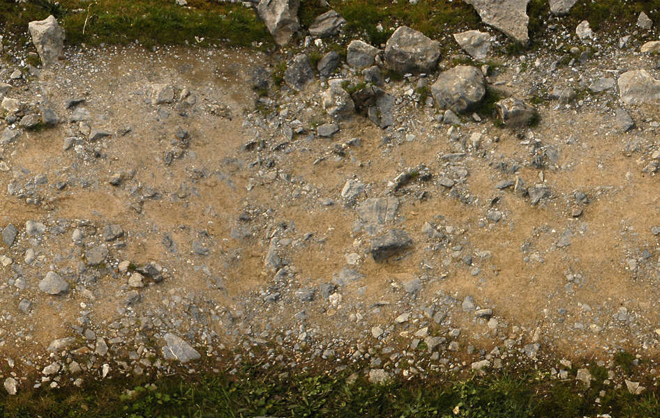 RoadsDirt0007 - Free Background Texture - path stones sand rocks grass ...