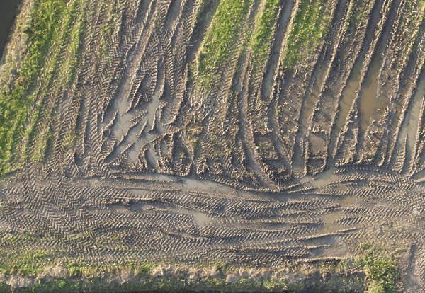 RoadsDirt0067 - Free Background Texture - aerial road mud muddy track ...