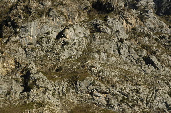 RockGrassy0034 - Free Background Texture - rock cliffs cliff grassy ...