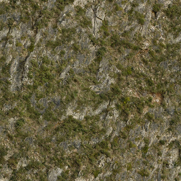 RockGrassy0051 - Free Background Texture - rock cliffs cliff grassy