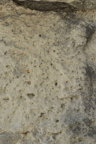 RockPerforated0038 - Free Background Texture - stone porous sandstone ...