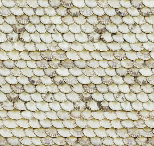 RooftilesOther0005 Free Background Texture  rooftiles 