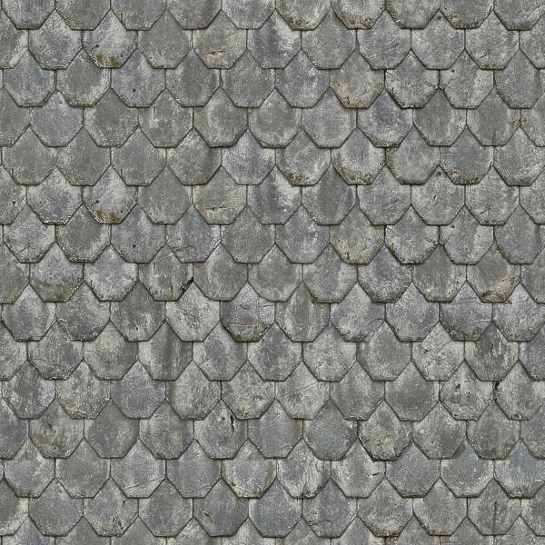 RooftilesSlate0040 - Free Background Texture - tiles roof rooftiles ...