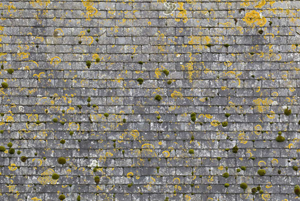 RooftilesSlate0099 - Free Background Texture - Roof Roofing Rooftiles ...