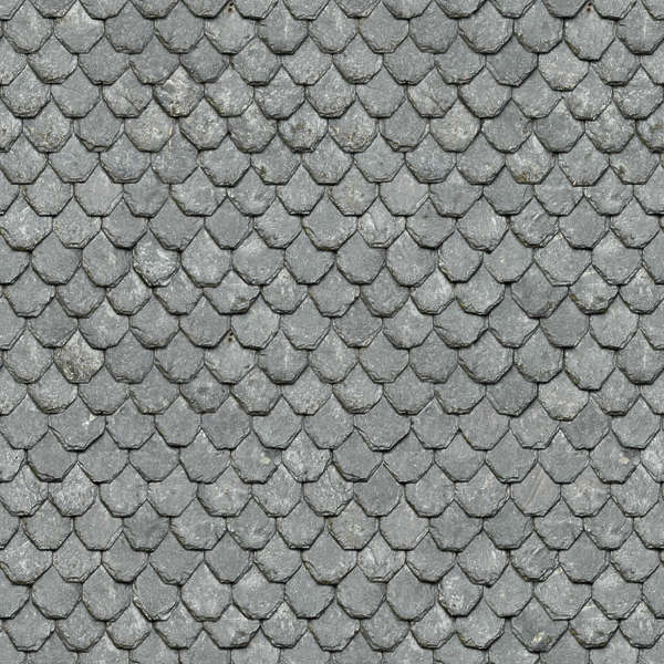 RooftilesSlate0042 - Free Background Texture - tiles roof rooftiles ...