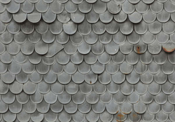 RooftilesSlate0126 - Free Background Texture - roof roofing rooftiles ...