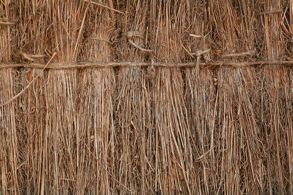 tiles roof texture tiles thatched Texture Thatched0056  Free   roof Background