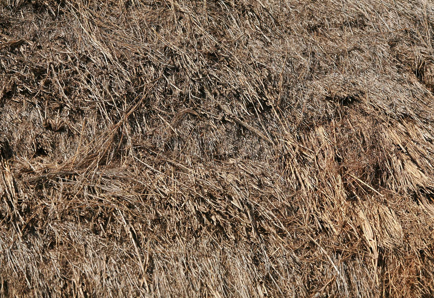 Thatched0058 - Free Background Texture - thatched roof roofing reed ...