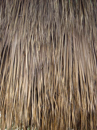 Thatched0013 - Free Background Texture - Thatched Roof Roofing Reeds 