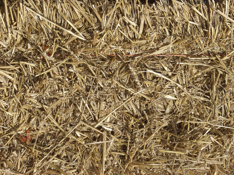 Thatched0016 - Free Background Texture - thatched roof roofing reeds ...