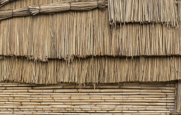 Thatched0065 Free Background Texture thatched thatch 