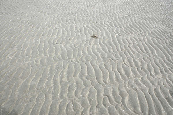 SoilBeach0001 - Free Background Texture - sand beach gray grey ...