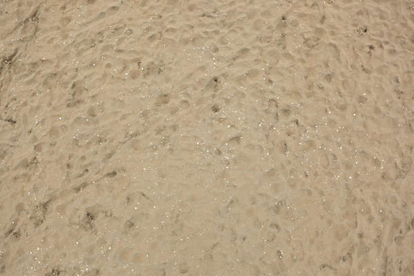 SoilBeach0075 - Free Background Texture - sand beach footsteps footstep ...