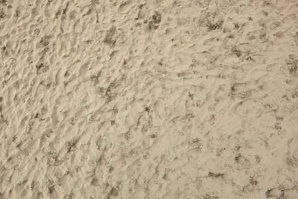 SoilBeach0076 - Free Background Texture - sand beach footsteps footstep ...