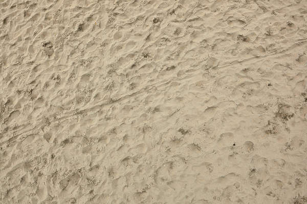 SoilBeach0076 - Free Background Texture - sand beach footsteps footstep ...