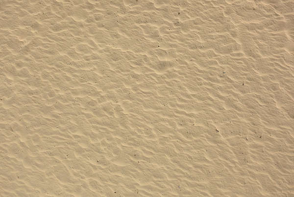 png texture tiles SoilBeach0080  Free  sand Texture  beach Background
