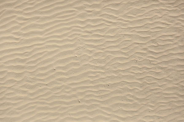 max texture free 3d floor beach sand SoilBeach0087   Texture   Free Background