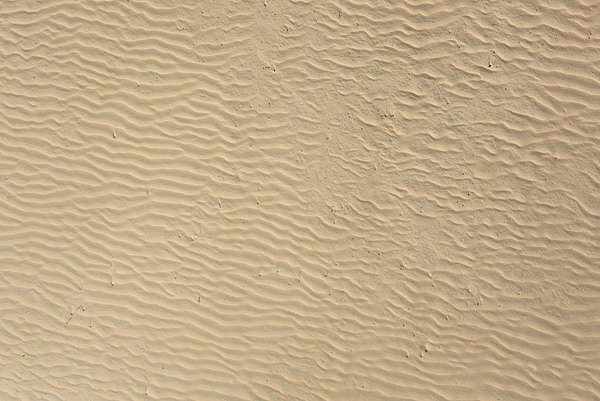 SoilBeach0088 - Free Background Texture - sand beach desert beige light ...