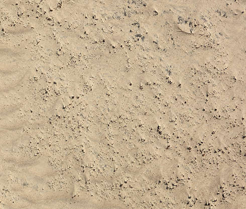 SoilBeach0091 - Free Background Texture - sand stones desert beige ...