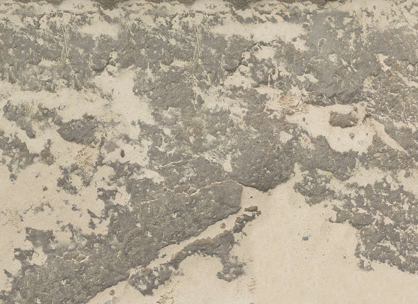 SoilCliff0115 - Free Background Texture - UK soil cliff earth brown beige