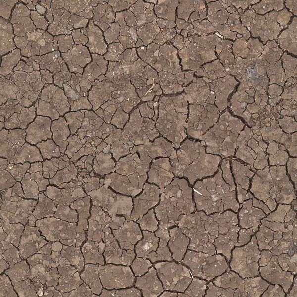 SoilCracked0156 - Free Background Texture - ground earth cracked dry ...