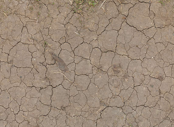 SoilCracked0158 - Free Background Texture - earth soil sand cracked ...