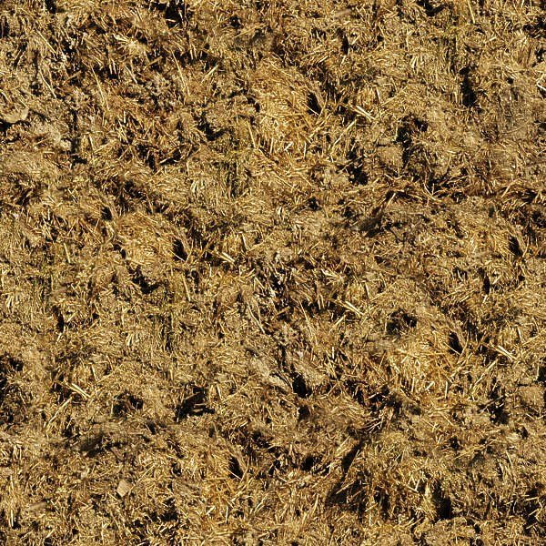 SoilMud0126 - Free Background Texture - hay manure poop dung shit ...