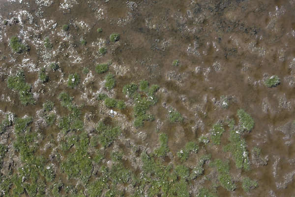 SoilMud0082 - Free Background Texture - aerial grass wet mud muddy ...