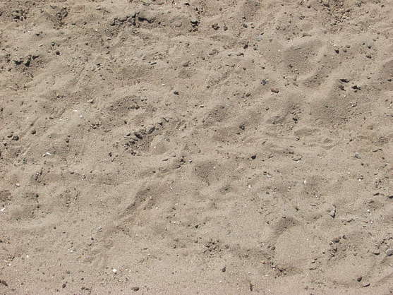 SoilSand0010 - Free Background Texture - sand dirt earth beige light ...