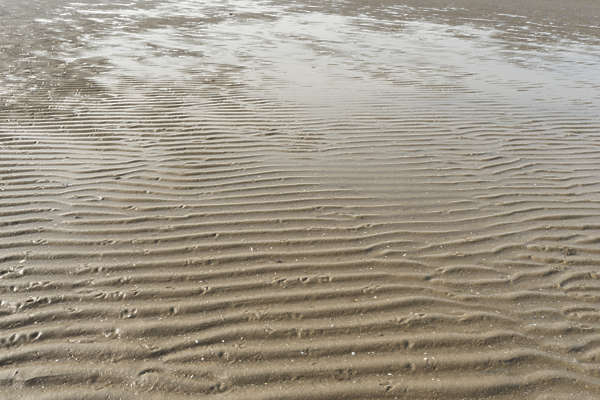 AbstractVarious0023 - Free Background Texture - beach sand soil ...