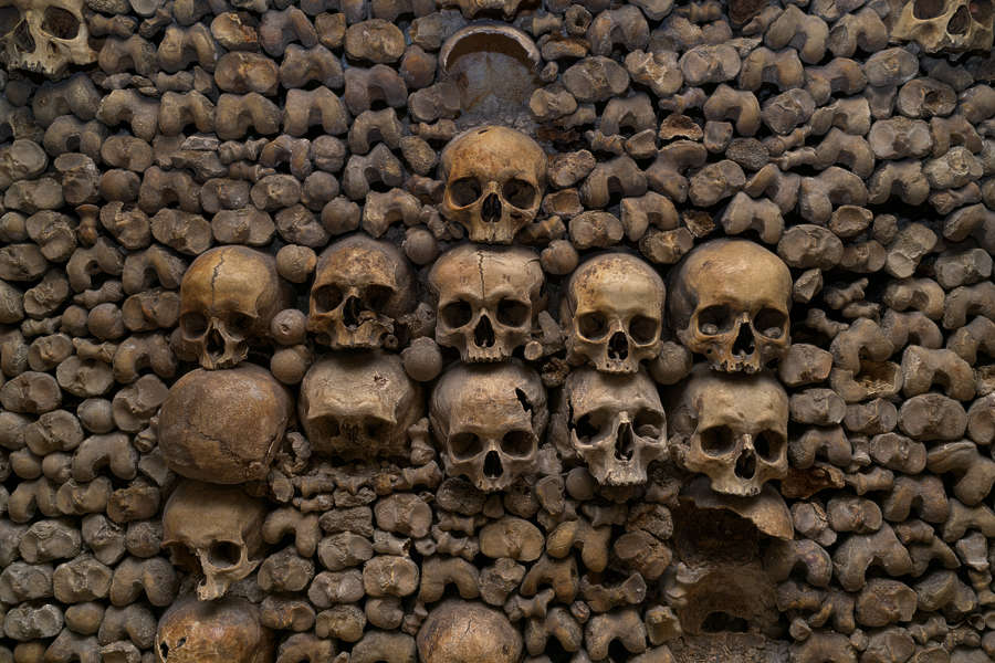 Bones0072 - Free Background Texture - bones skull skeleton human crypt