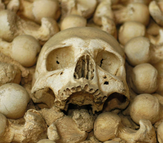 Bones0009 - Free Background Texture - bones skull skeleton brown beige