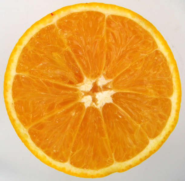 Fruit0034 - Free Background Texture - food foodstuff orange fruit ...